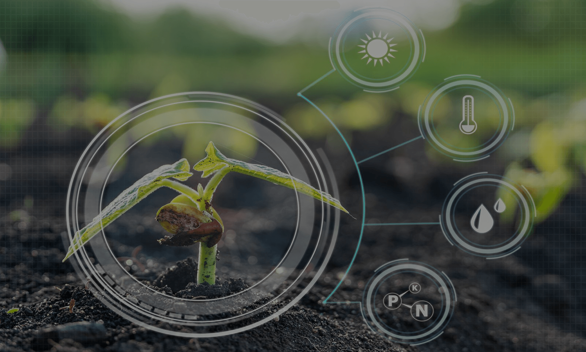 Revolutionize Agriculture with Sustainable, End-to-End Practices