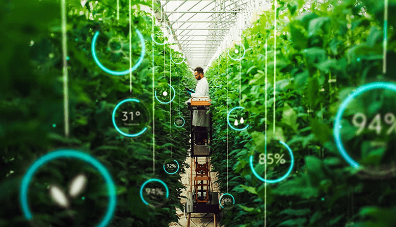 Smart Agriculture